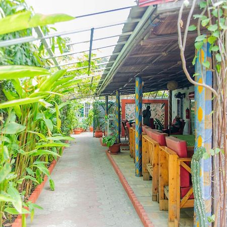 Residence Ivoire كوتونو المظهر الخارجي الصورة